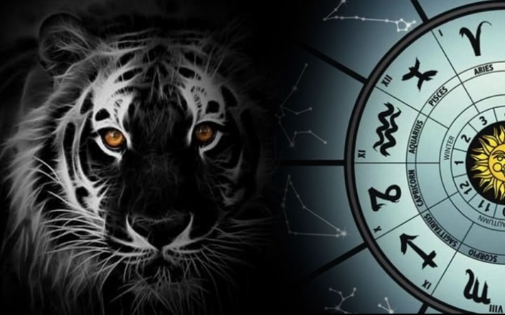 Год Черного Тигра: какие ошибки знакам зодиака нужно исправить в 2022 году