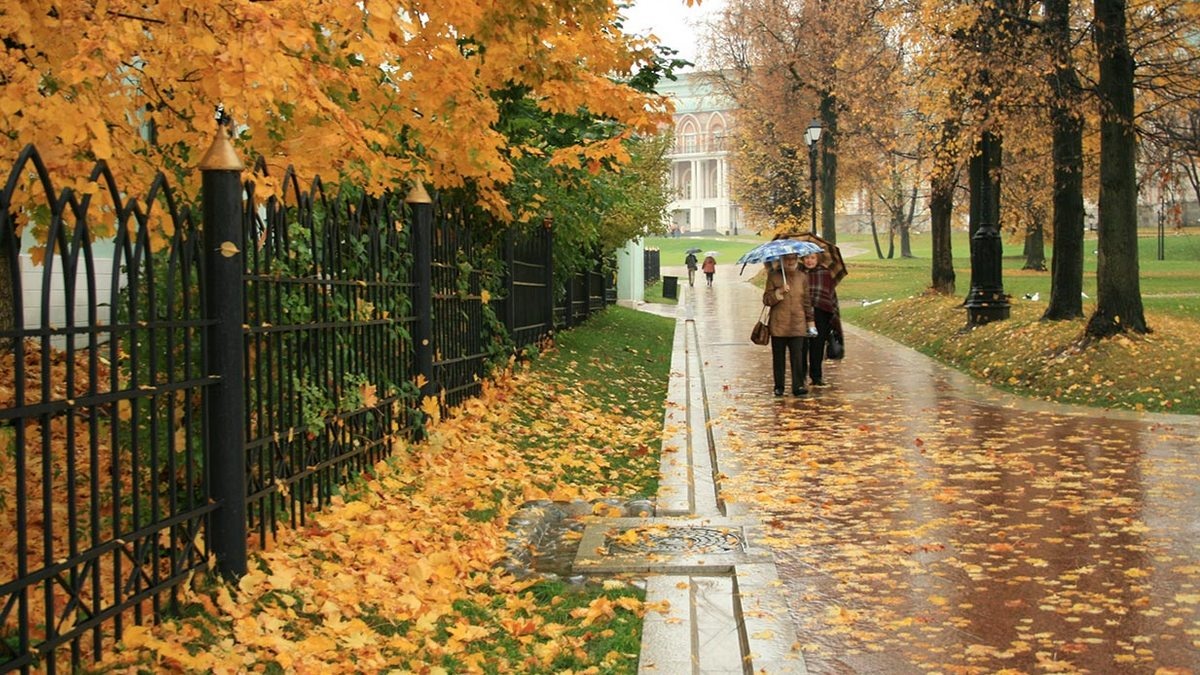 Синоптики удивили прогнозом погоды на первые числа ноября