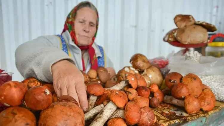 Власти намерены запретить украинцам продавать на рынках лесные грибы