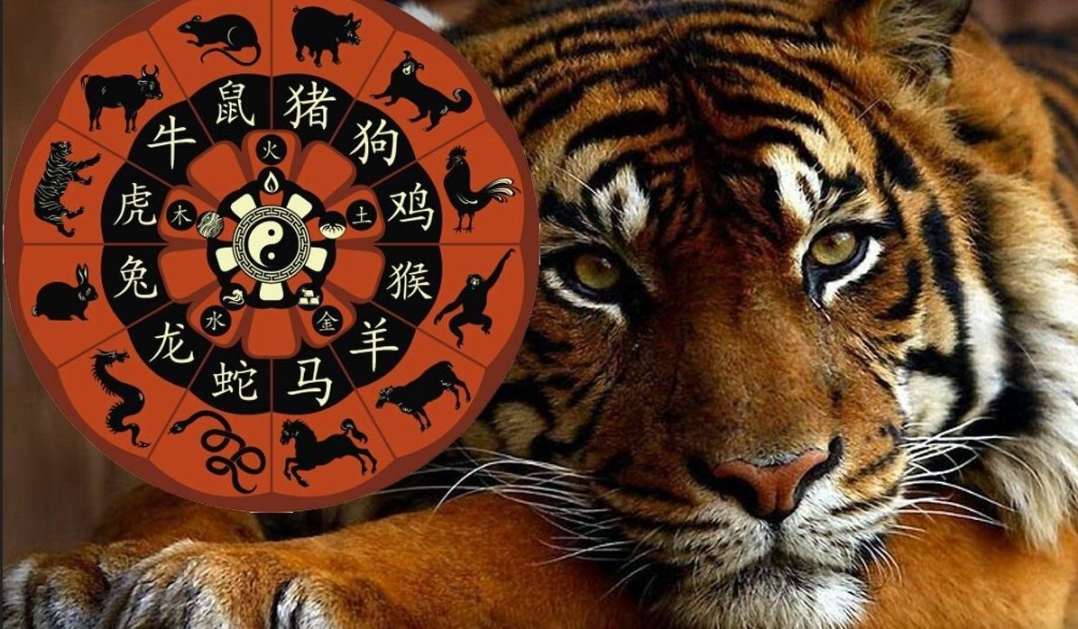 Год Черного Водяного Тигра: кому из Зодиаков 2022-й принесет большую удачу