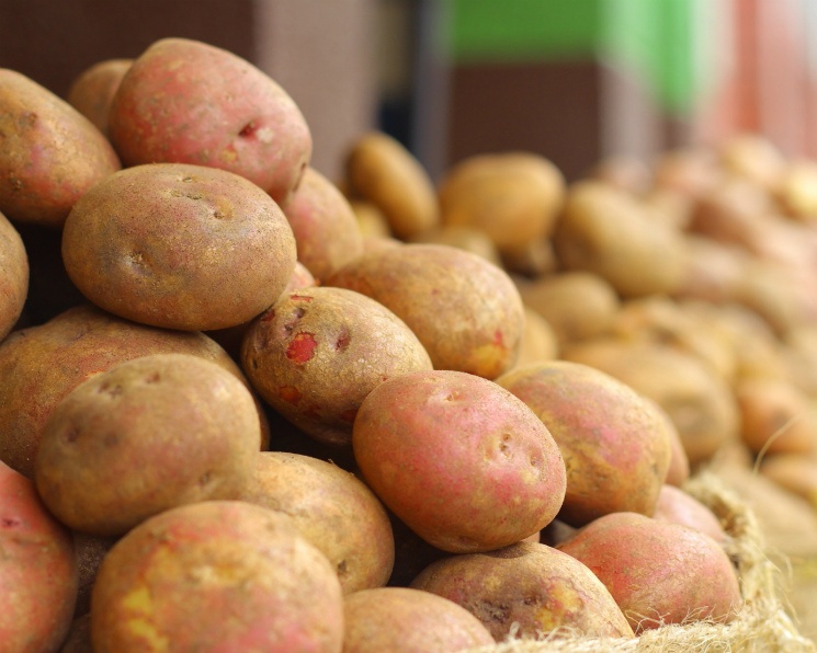 Цены на картофель готовятся к взлету