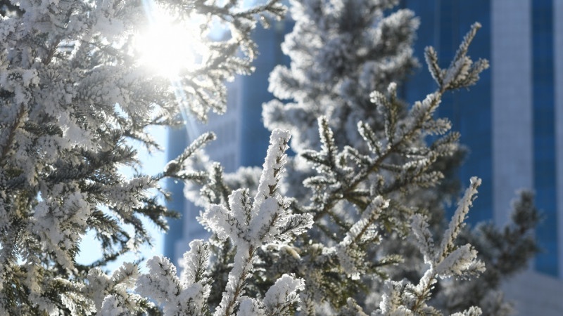 Народный синоптик озвучил прогноз погоды на новогодние праздники