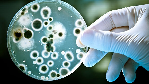 Ученые обнаружили новое антибактериальное действие пенициллина