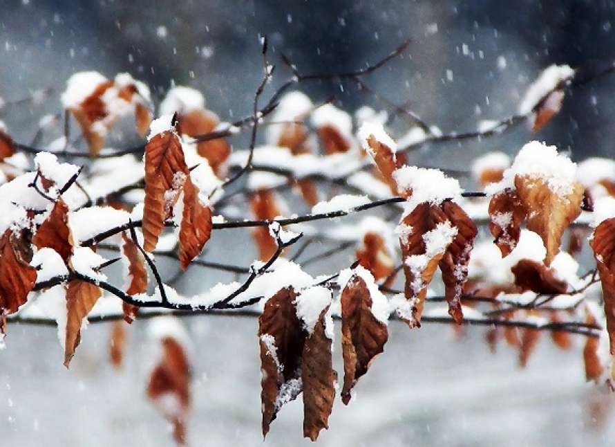 Первый снег в Украине: синоптик назвала точную дату осадков