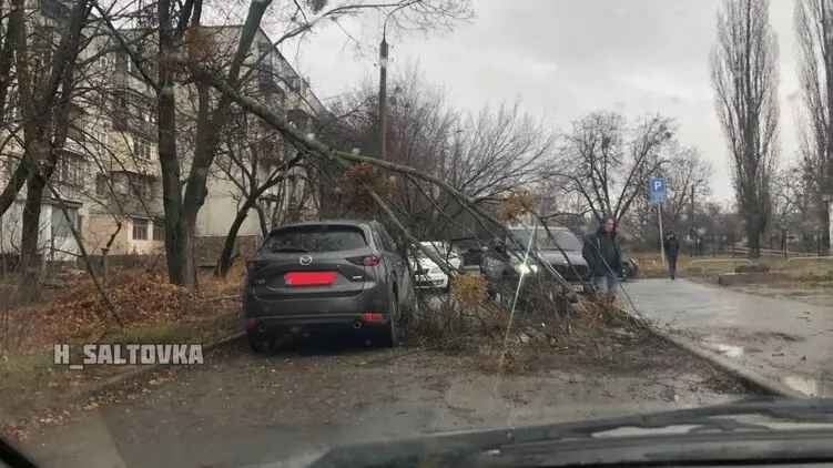 Ураган в Харькове: ветер повредил линии электропередач и повалил деревья