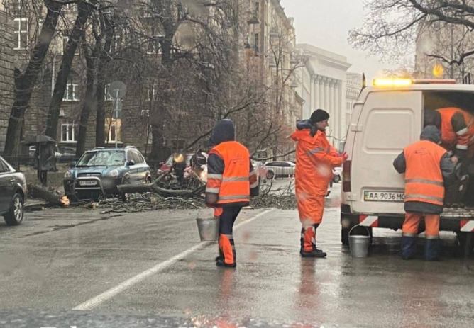Киев накрыл "деревопад": получены десятки сообщений о повреждении автотранспорта