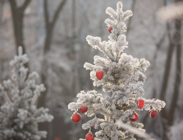 Синоптики озвучили детальный прогноз погоды на новогодние праздники