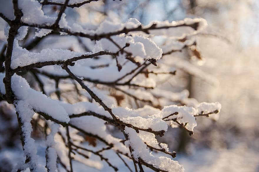 Сильное похолодание в Украине: когда ударят лютые морозы
