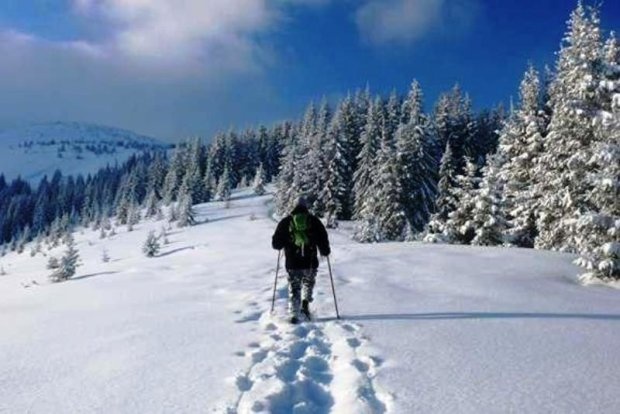 Карпаты завалит снегом: прогноз погоды на горнолыжных курортах