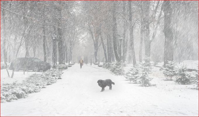 В Украину придет настоящая зима: синоптик предупредил об ухудшении погоды