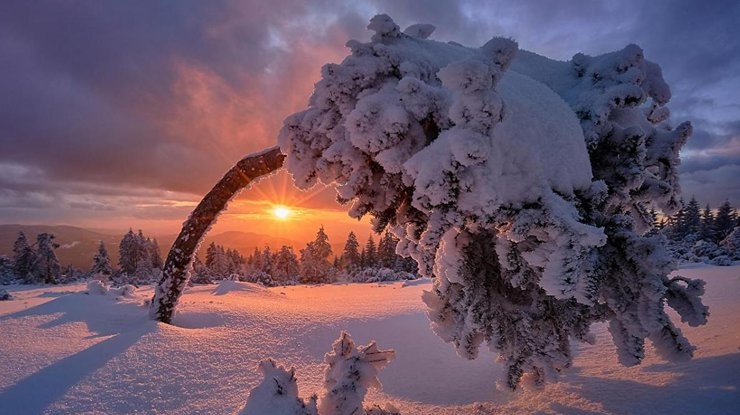 День зимнего солнцестояния: ритуалы, которые помогут исполнить самые заветные желания