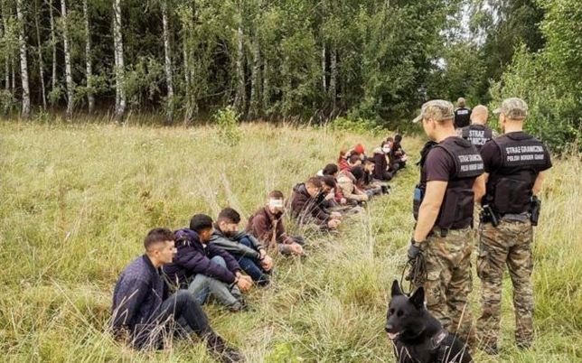 Польскую границу с территории Беларуси штурмовала большая группа нелегалов