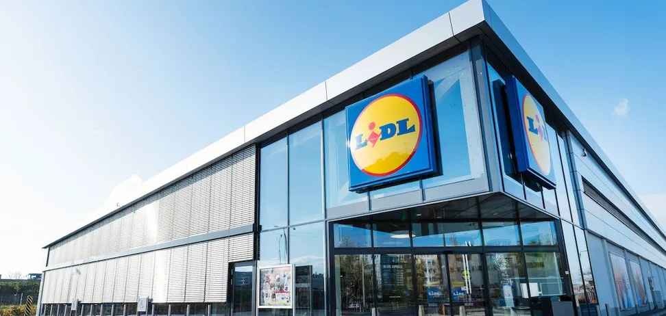 В Украине могут открыть сеть супермаркетов Lidl: сколько будут платить сотрудникам