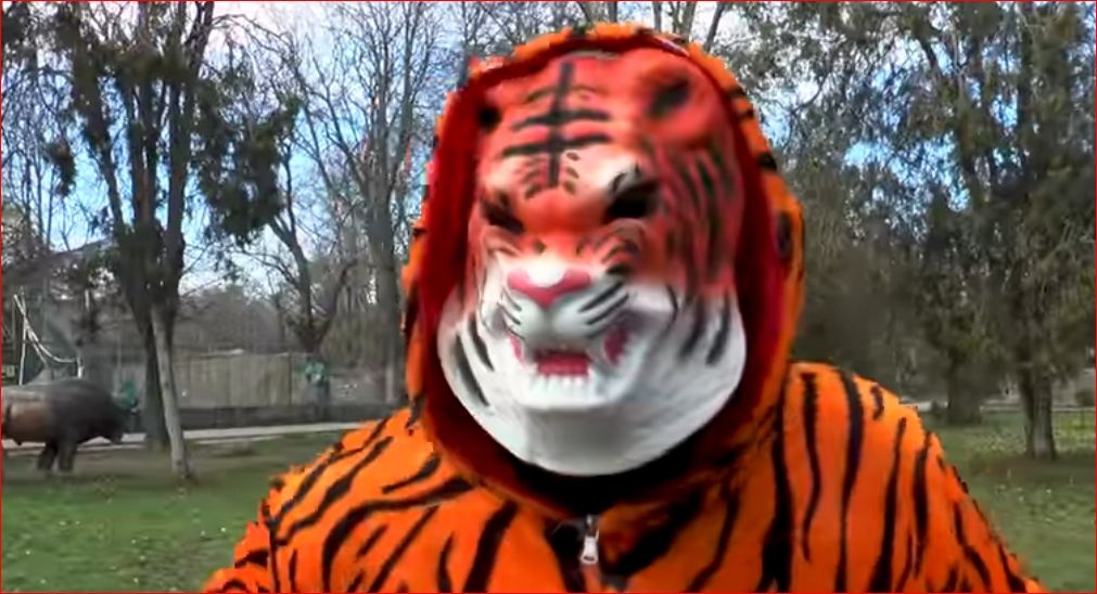 Директор Одесского зоопарка переоделся в тигра и выступил с новогодним поздравлением