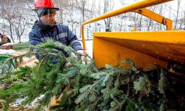 В Киеве заработали пункты приема новогодних елок