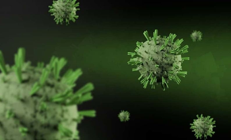 "Дельтакрон": выявлен новый штамм коронавируса