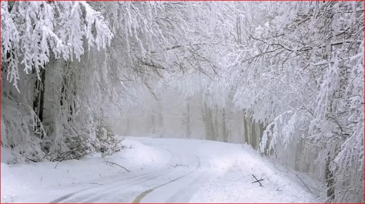 Снег с дождем везде, кроме юга, и мороз: погода в Украине