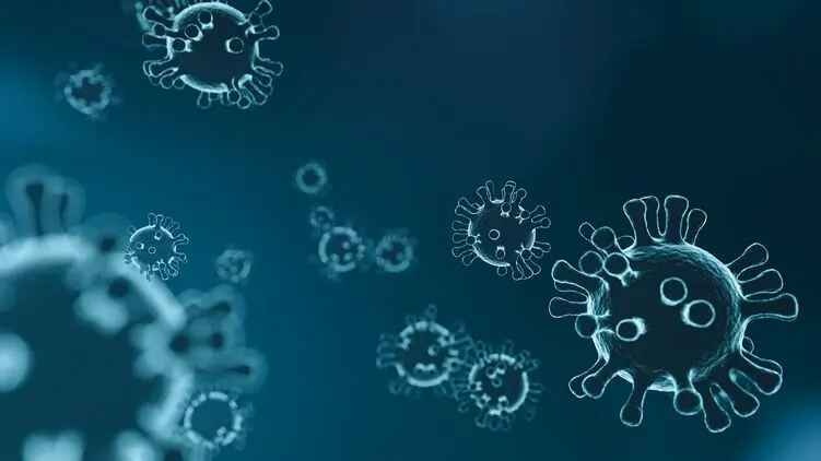 Вирусолог назвал уровень антител, который поможет защитить от коронавируса
