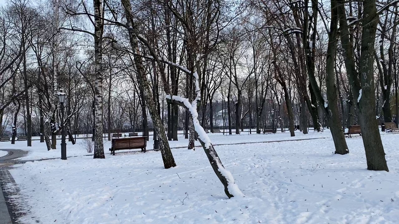 Потепление и осадки: озвучен прогноз погоды на выходные