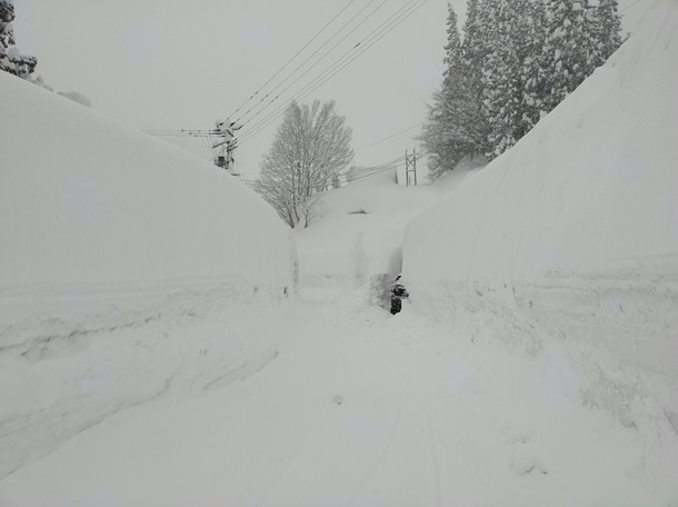 Японию накрыл рекордный снегопад