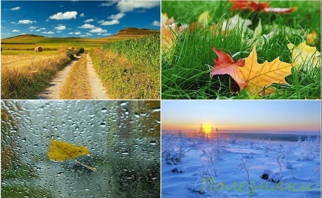 Погода приготовила "сюрпризы":  чего ждать украинцам в ближайшие дни