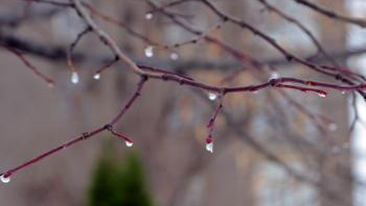 Синоптик уточнила прогноз погоды в Украине на среду