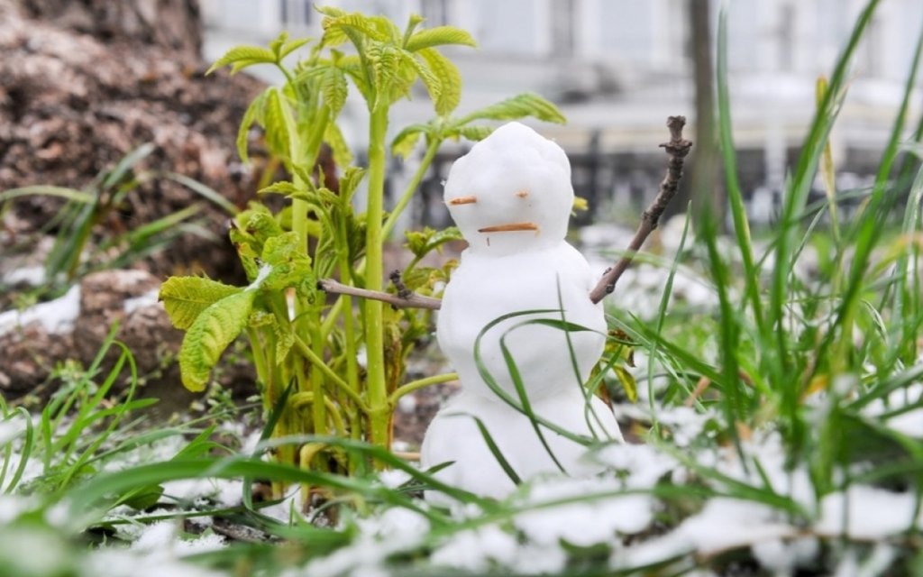 Солнечно, но местами дожди: прогноз погоды в Украине на сегодня