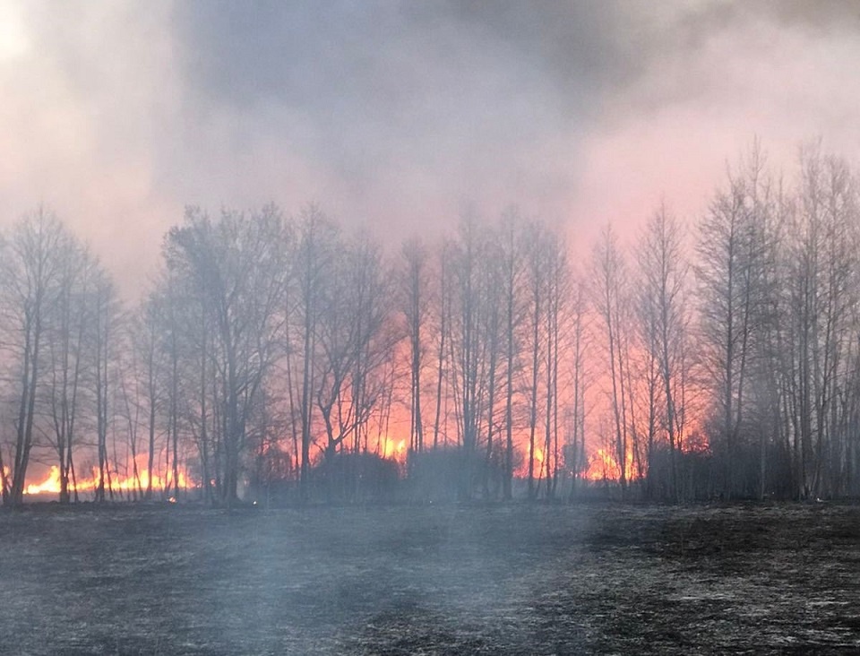 В Полтавской области нашли действенный способ борьбы с поджигателями травы