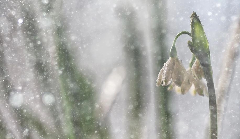 Идет похолодание: синоптик предупредила, где в Украине ожидается мокрый снег