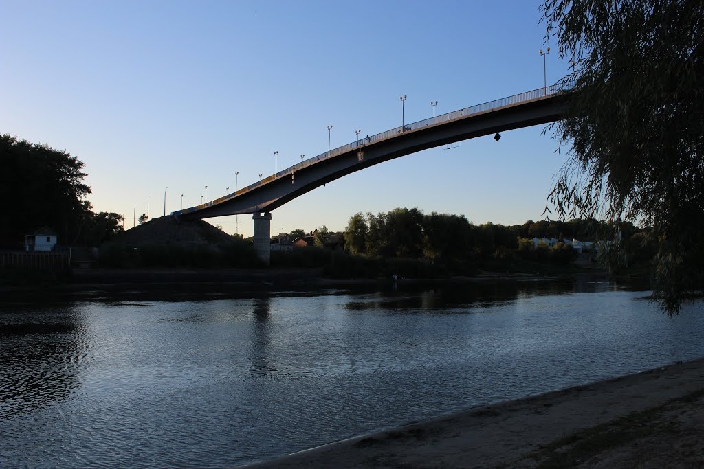 В Чернигове закрыли пешеходный мост через Десну