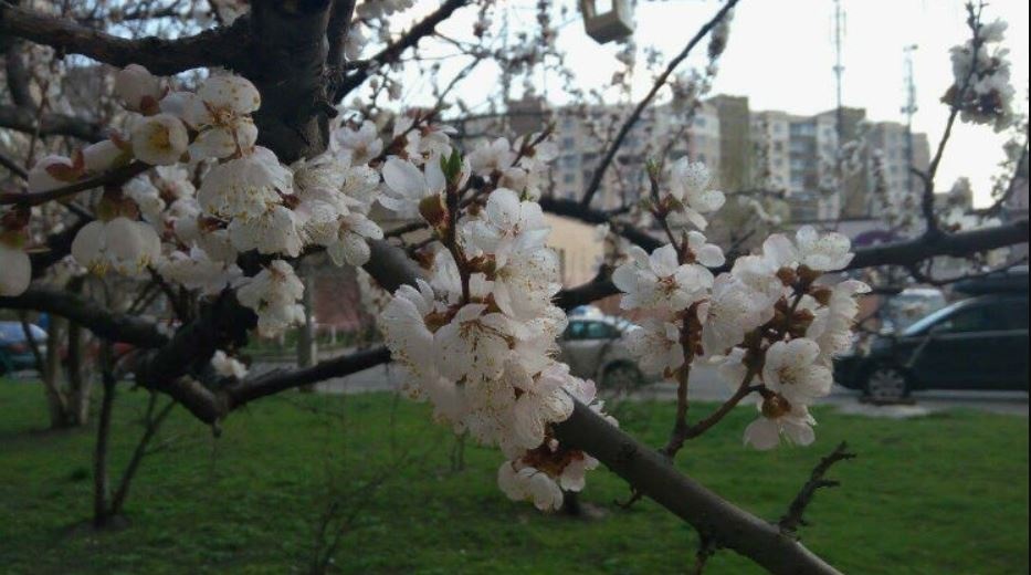 Апрель будет с дождями и грозами: прогноз погоды на Пасху
