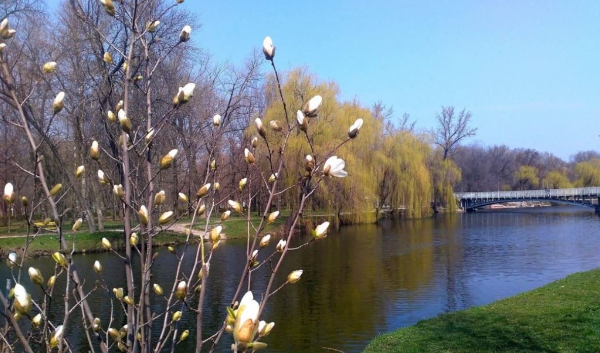 В Украину идет потепление: синоптик рассказала, где будет до +19 градусов