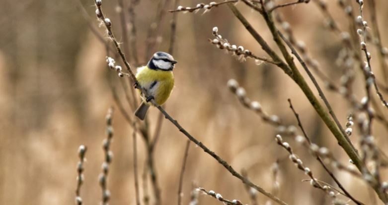 Снег, дожди с грозами, но местами потепление до +23: прогноз погоды на выходные