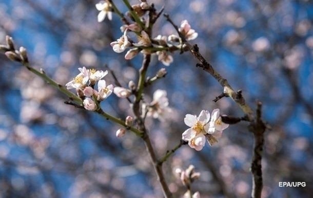 Синоптики спрогнозировали погоду на апрель