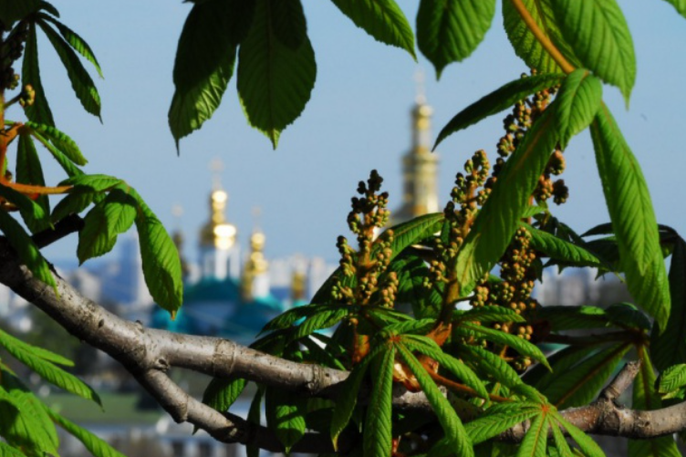 Погода на Пасху: что пообещали синоптики