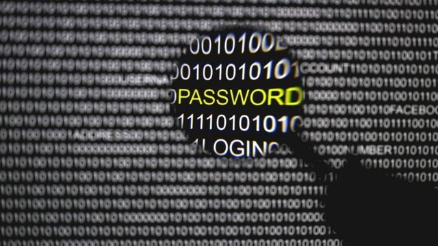 Украинские хакеры получили доступ к десяткам баз данных граждан РФ
