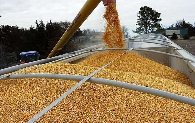 Урожай зерновых в этом году будет значительно меньше прошлогоднего - Шмыгаль