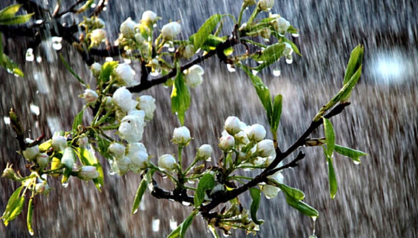 Украину в начале недели зальет дождями: где осадков будет больше всего