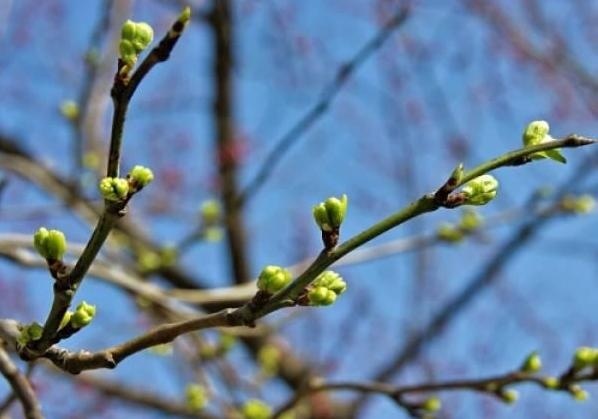 Дождь, кое-где с мокрым снегом: синоптики озвучили прогноз погоды на ближайшие дни