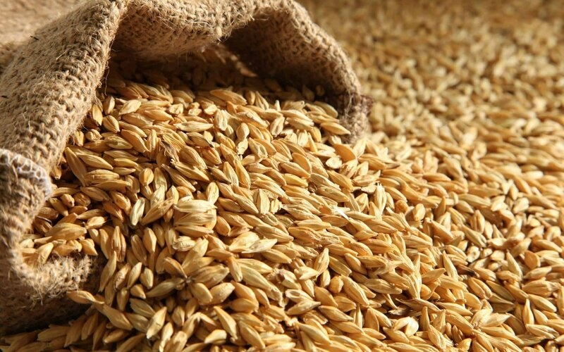 В МинАП прогнозируют на долгие годы высокие цены на зерновые из-за российского вторжения