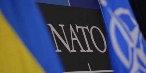 Украина в ближайшее время может вступить в НАТО – эксперт