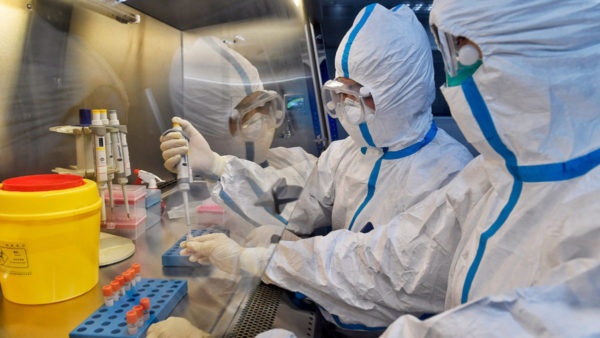 В мире зафиксирован первый случай заражения человека штаммом птичьего гриппа H3N8