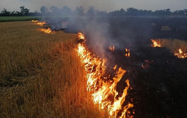 Поджог травы: в Киевской области в разы увеличилось число пожаров