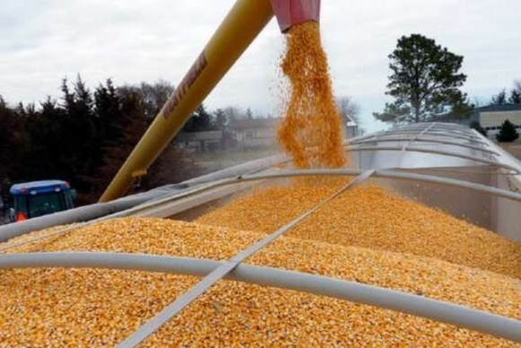 Россия уже вывезла треть запасов зерна из оккупированных районов Украины