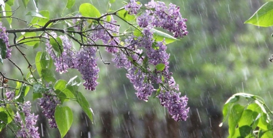 Украину зальет дождями: прогноз погоды на 9 мая