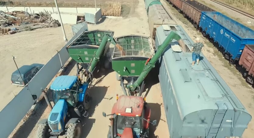 Оккупанты похитили до 500 тысяч тонн украинского зерна - министр агрополитики