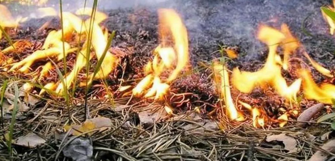 Синоптики предупредили о чрезвычайной пожарной опасности в Киеве и области