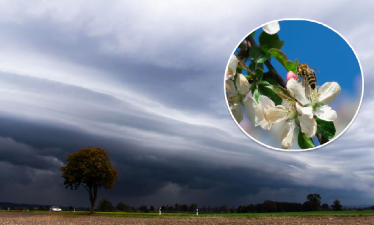 Синоптик предупредила о сильном ветре, дождях и грозах: где ухудшится погода