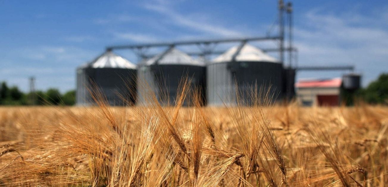 В Кабмине сказали, хватит ли Украине в 2022 году своего зерна