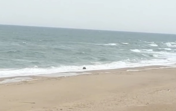 На побережье около Одессы вынесло морскую якорную мину